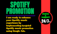 run an ads campaign to promote your spotify music