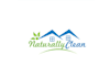 design naturally clean home logo