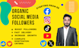 increase social media followers fast