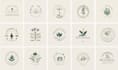 design vintage botanical, mystic, illustration logo