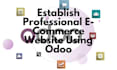 establish a professional ecommerce website using odoo