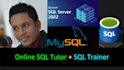 teach you database programming lessons in sql