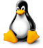 provide linux server expertise