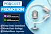 do podcast promotion to increase massive audience