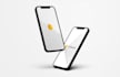 integrate your app with firebase and flutter