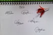 do custom handwritten or digital signature design with professional videography