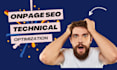 do onpage SEO service and technical optimization of wordpress site