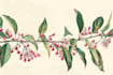 do botanical illustration flower, plant illustration, logo