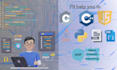 do expert frontend  python java cpp