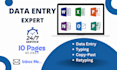 data entry, ms word, excel, power point, typing, copy past