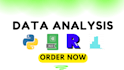 do r and python programming, data cleaning, visualization and analysis
