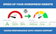 speed up wordpress website for google pagespeed insights