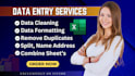 do ms excel data cleaning, formatting, copy paste, data entry