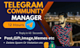 be your professional telegram community manager