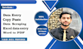 do efficiently data entry , copy paste, data scraping, word to pdf