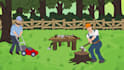 create custom 2d animations for youtube, ads, or websites