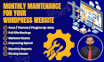 provide monthly wordpress website maintenance as your website manager