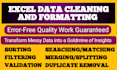 clean and format your excel data professionally