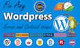 troubleshoot or fix wordpress bug, fix wordpress error