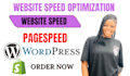 website speed wordpress speed website speed optimization pagespeed shopify speed