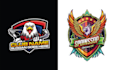 make hand drawn birds, falcon, eagle logo with my creative thinking