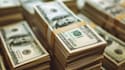 provide a list of vc and angel investors