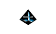 design aesthetics chess sports logo