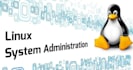 expert linux server setup, maintenance, and monitoring