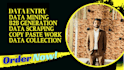 serve as excel data entry, data conversion, data mining