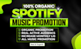 do professional spotify music promotion using ads