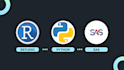 do data analysis, data science using rstudio, sas,python and rapidminer