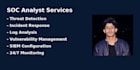 provide expert soc analyst and cybersecurity services