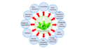 draw scientific,medical illustration,diagrams, and figure for your thesis