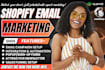 setup mailchimp ecommerce shopify klaviyo email marketing sales funnel flows
