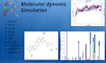do molecular dynamic simulations of biomolecules