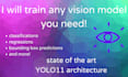 train your yolo vision model