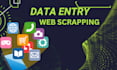 do perfect data entry, web research, data mining and data extraction