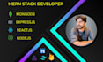 develop mern stack website as mern stack developer using react nodejs