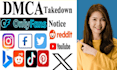 takedown delete and remove harassing defaming posts from internet by legal law