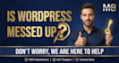 fix your messed up word press site