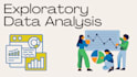 do data analysis, eda, data visualization and documentation using python