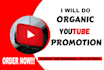 do youtube channel promotion and lead generation with monetization