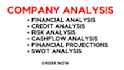 do financial analysis and planning, company analysis, credit analysis