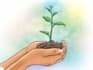 plant trees for you, eco friendly, sustainable and impactful