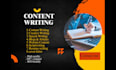 be your speech writer , script writer ,essay writer and copy writer