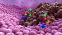 create 3d mechanism of action animation for drug, immunotherapy, medical device