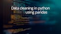 data cleaning analysis visualization using python and excel