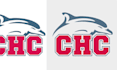 clean and vectorize your logo to be a print ready file