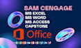 do your ms office related projects and tasks