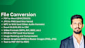 do any file conversion